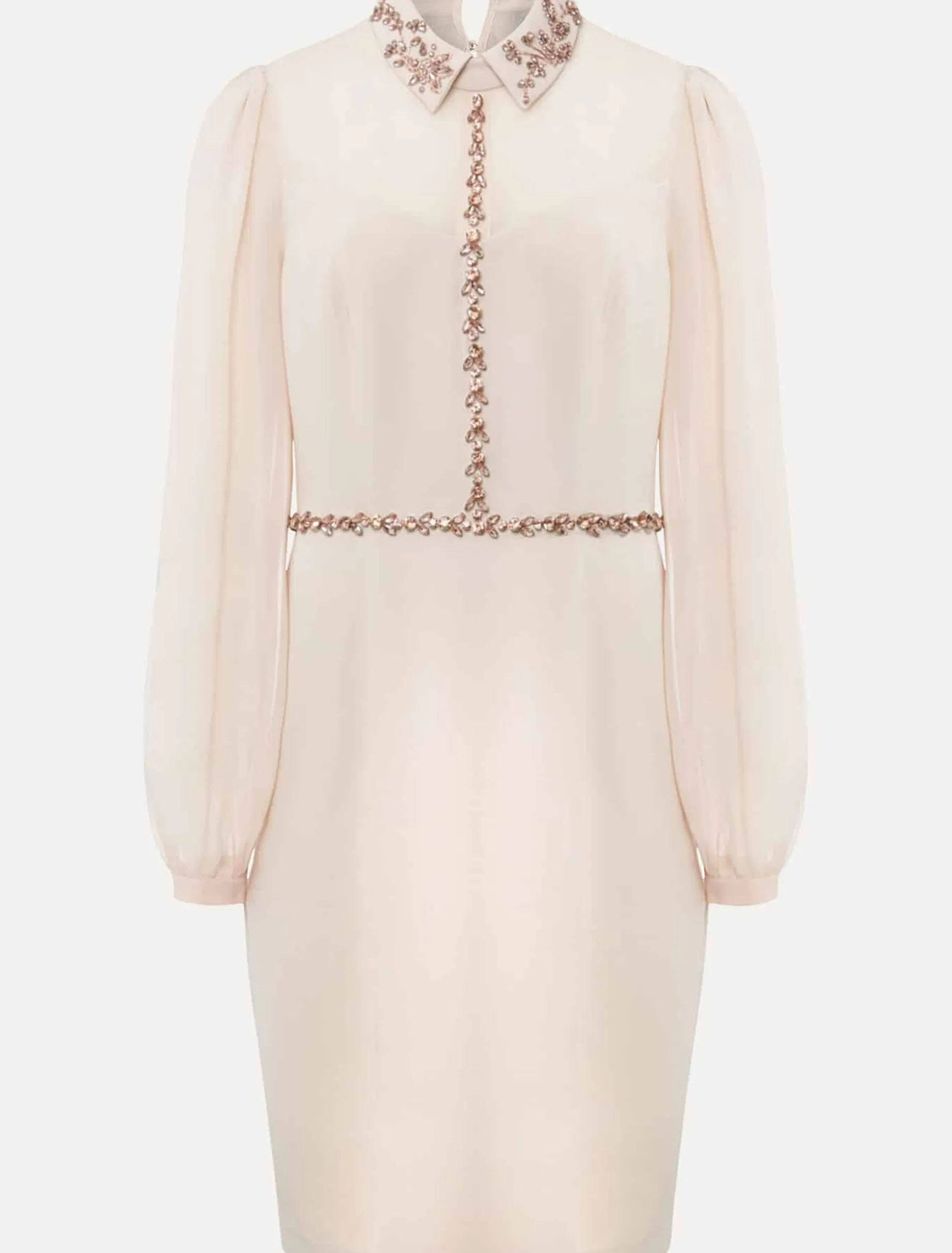 Avah Embellished Fitted Dress