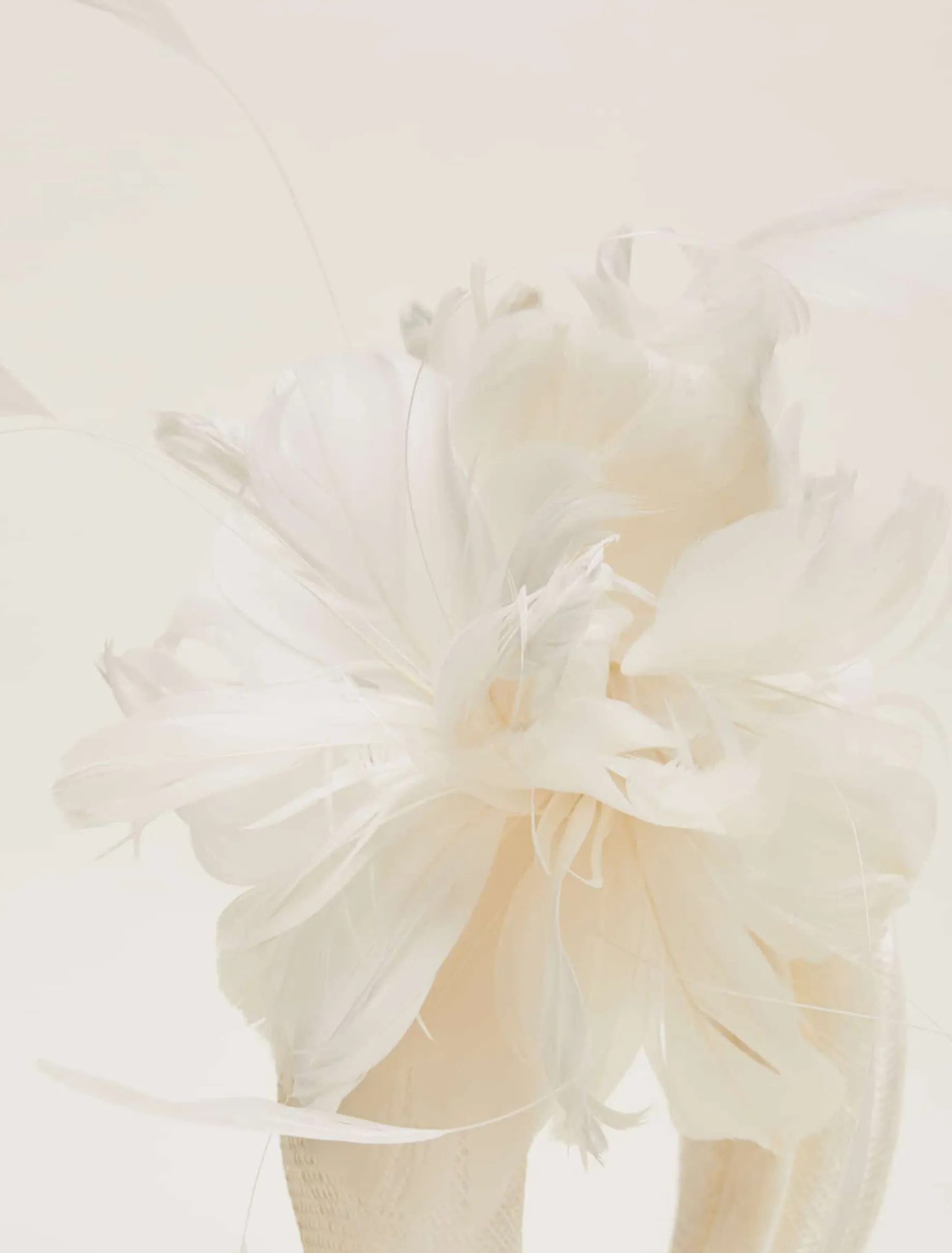 Bridal Feather Flower Chunky Headband