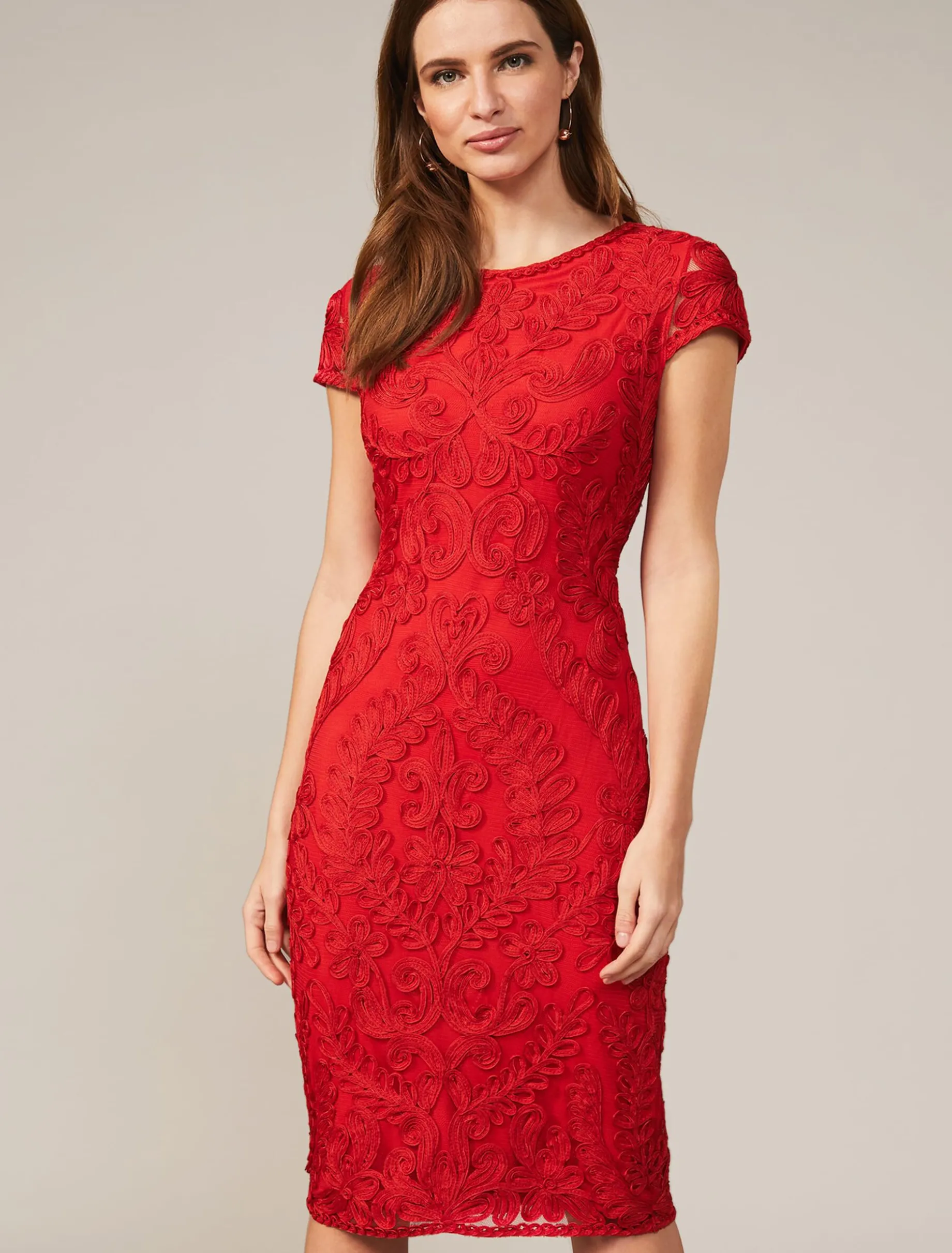 Cat Tapework Lace Fitted Dress