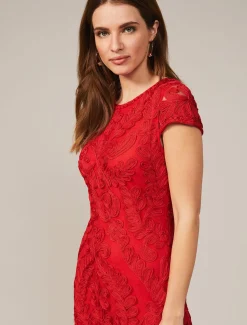 Cat Tapework Lace Fitted Dress