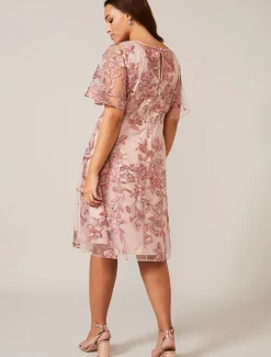 Charlotte Embroidered Dress
