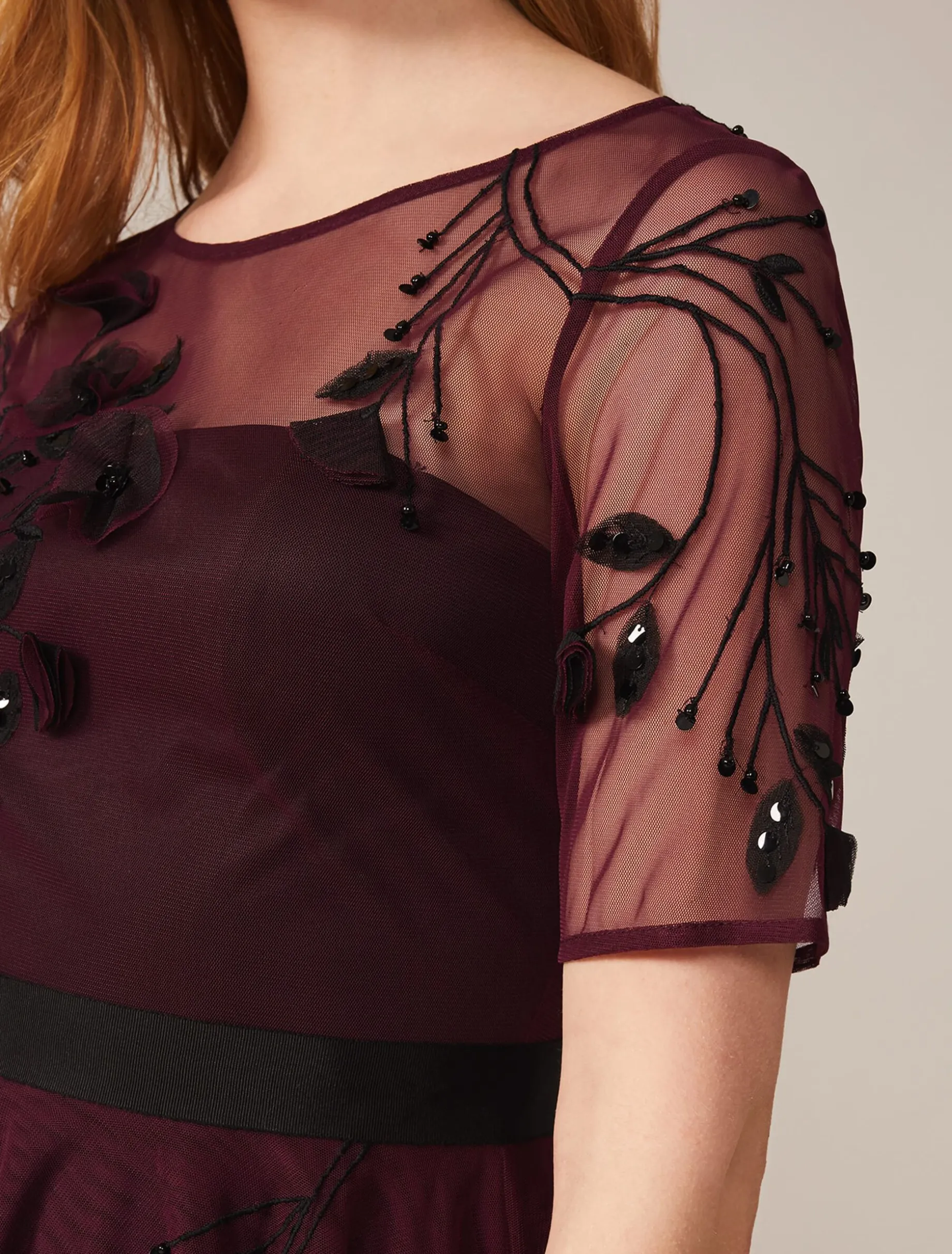 Felicia Embroidered Tulle Dress