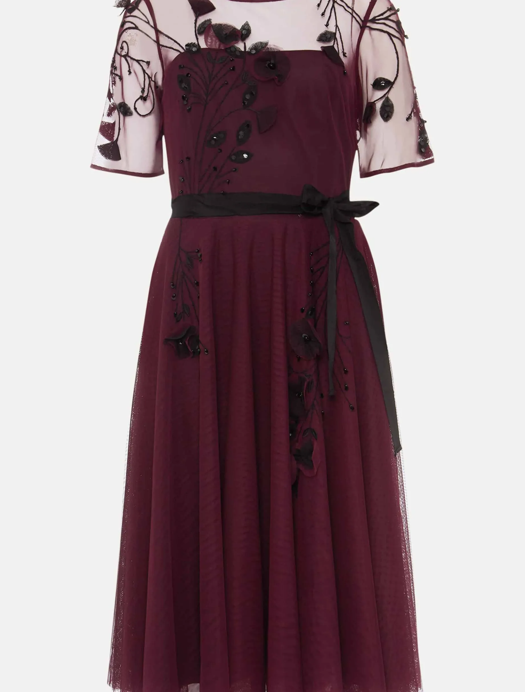 Felicia Embroidered Tulle Dress