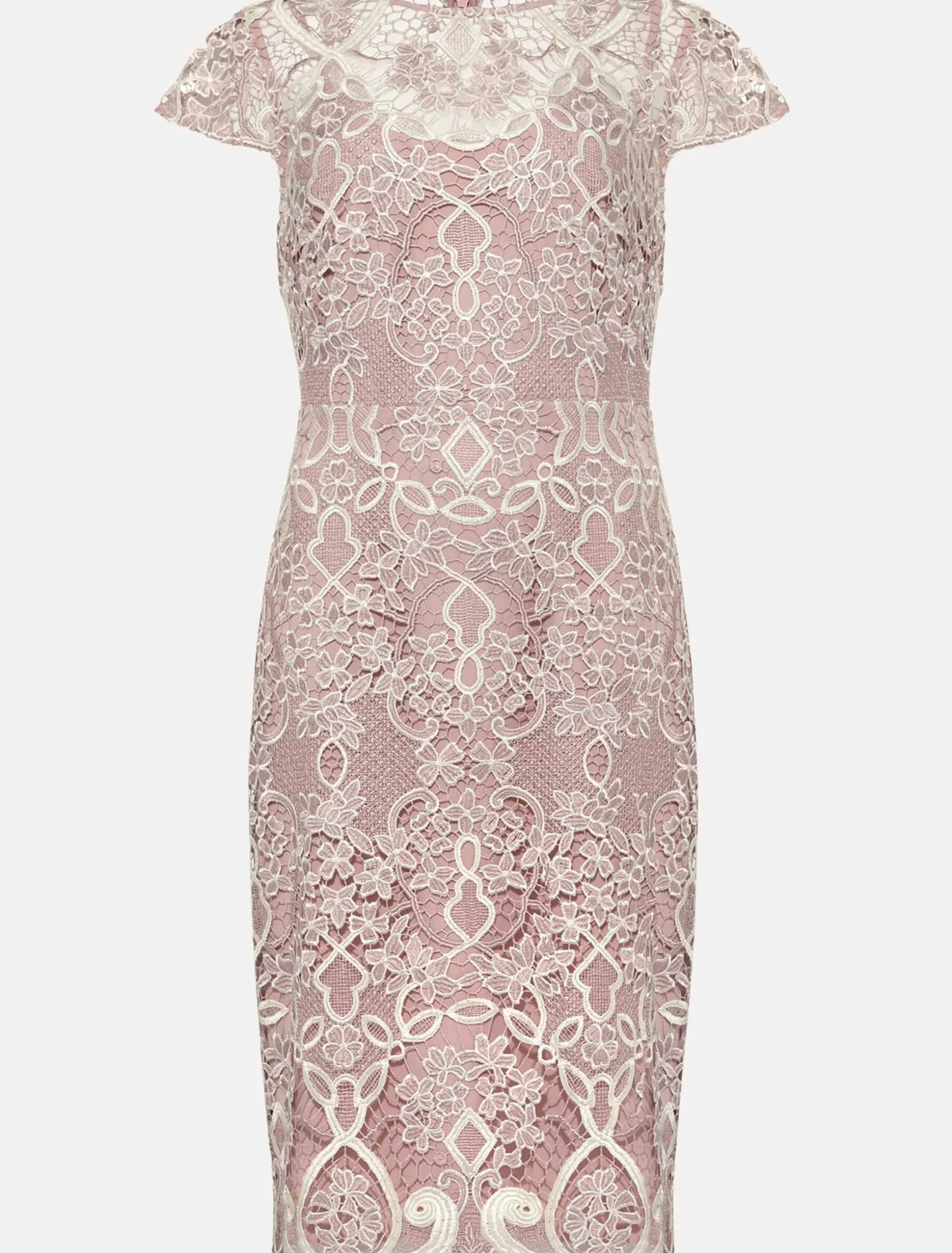 Frances Lace Fitted Dress