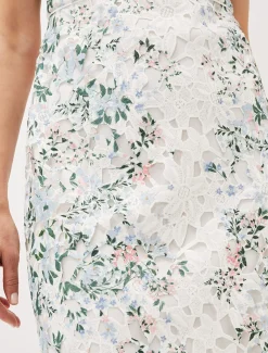 Franky Floral Lace Fitted Dress