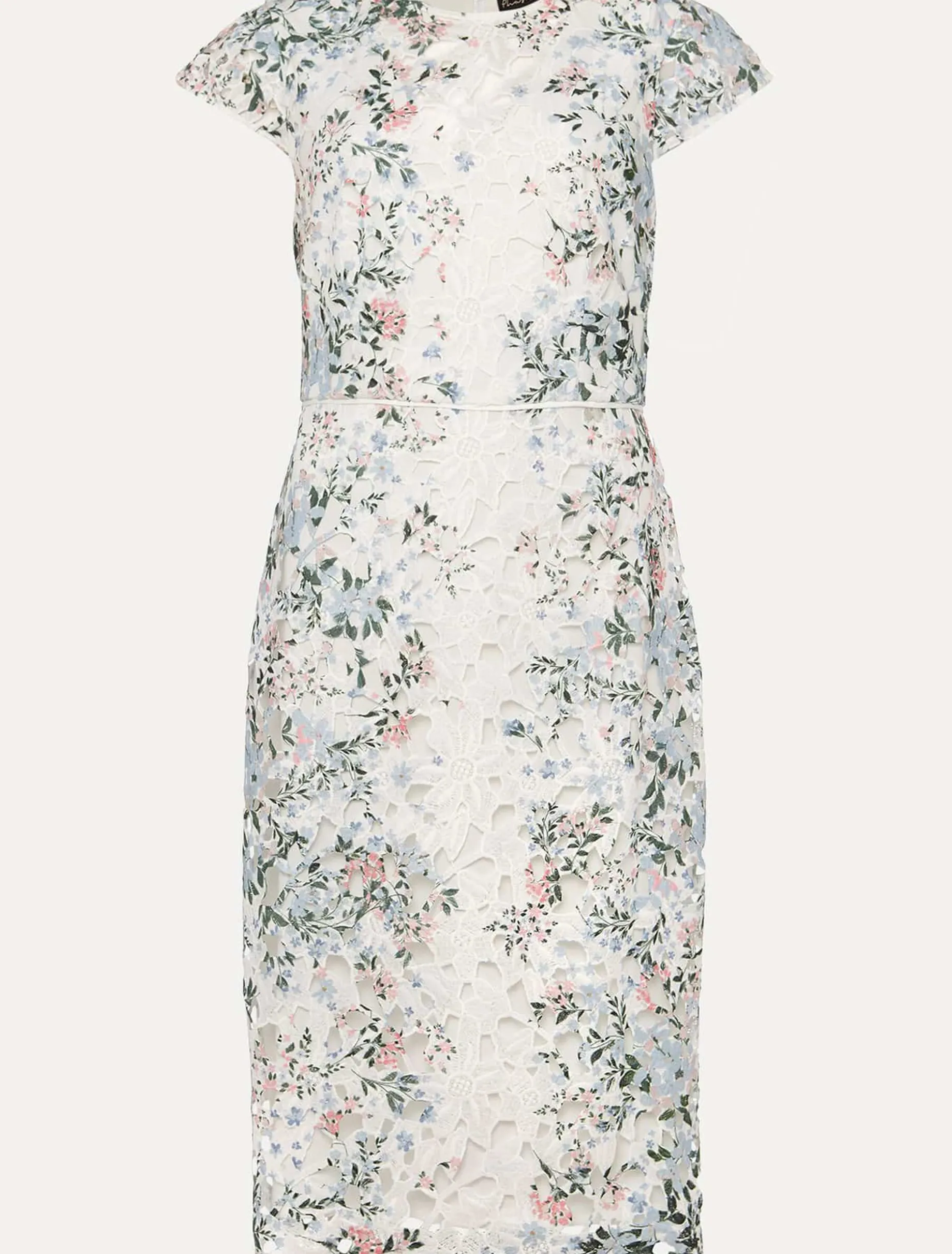 Franky Floral Lace Fitted Dress