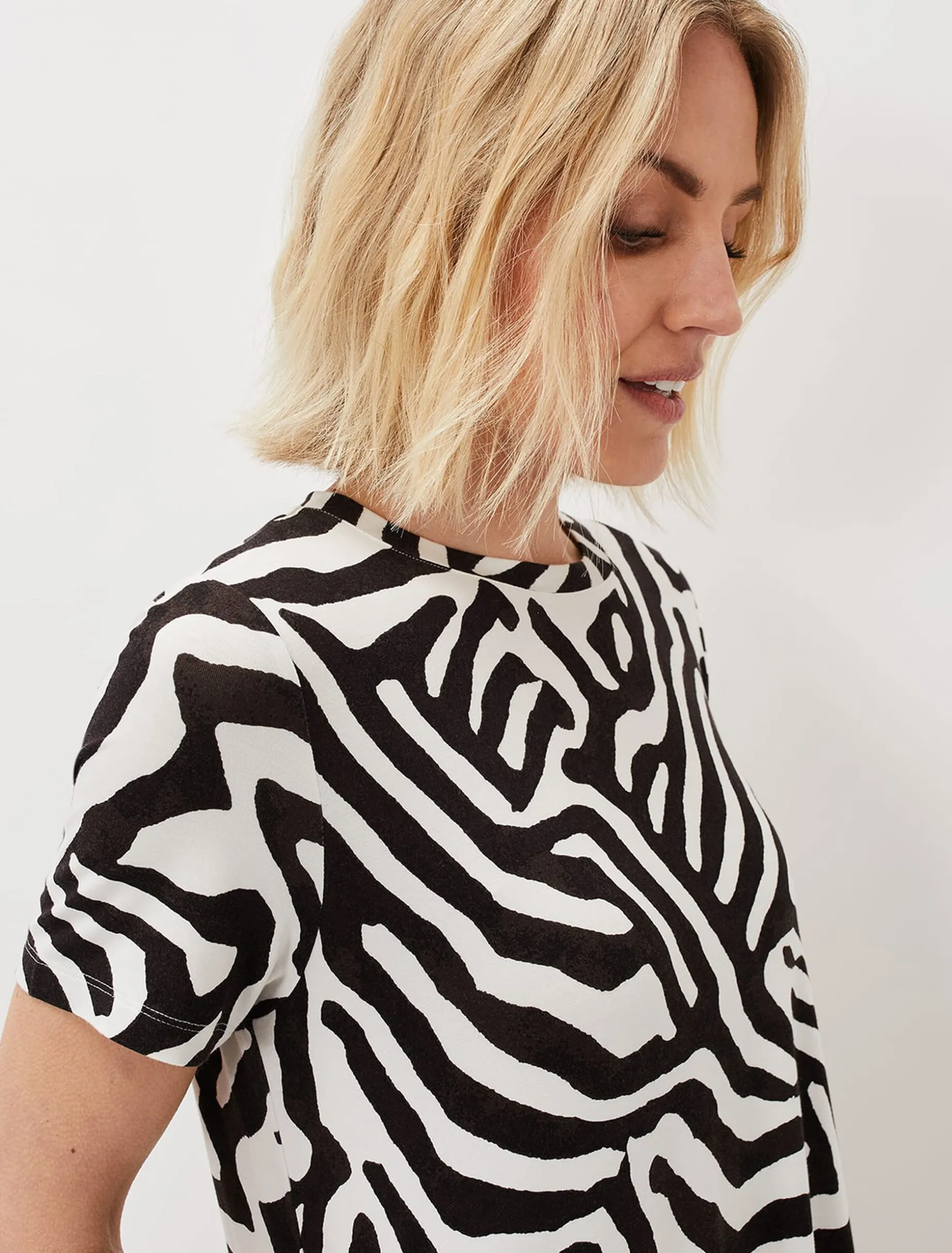 Isabelle Zebra Print Dress