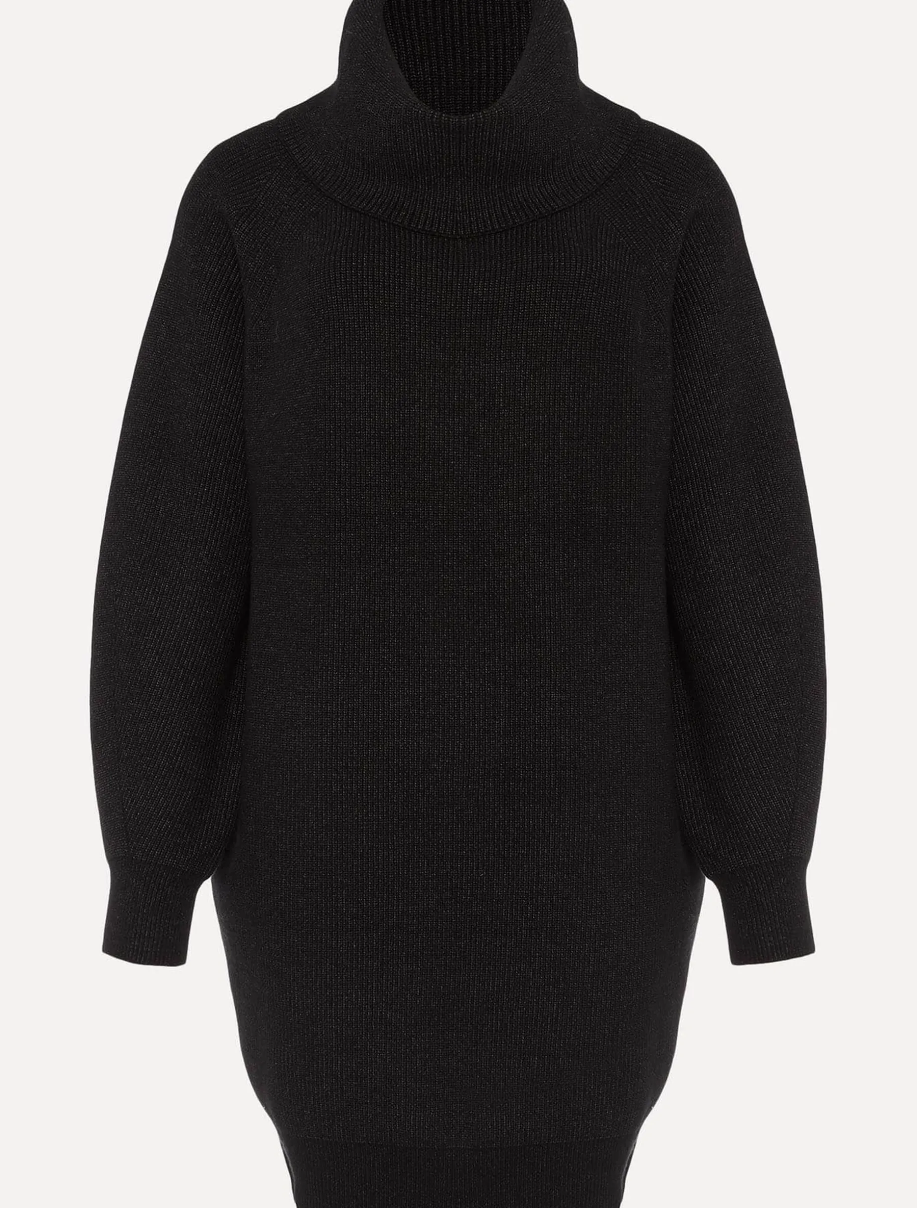Nisha Roll Neck Jumper Dress