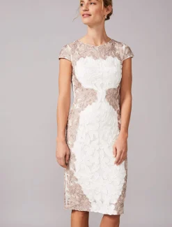 Nori Tapework Lace Fitted Dress