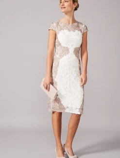 Nori Tapework Lace Fitted Dress