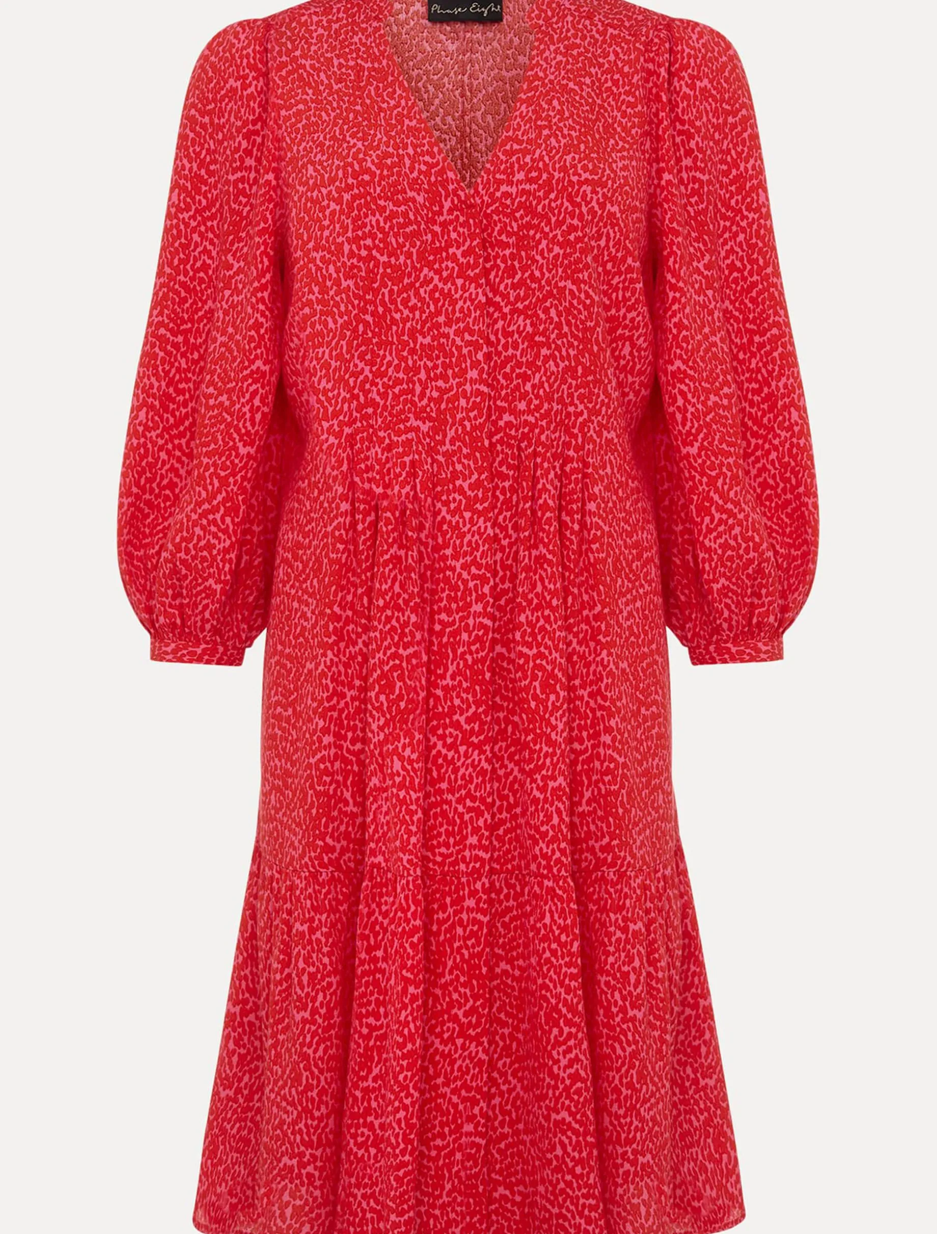 Penele Print Swing Dress