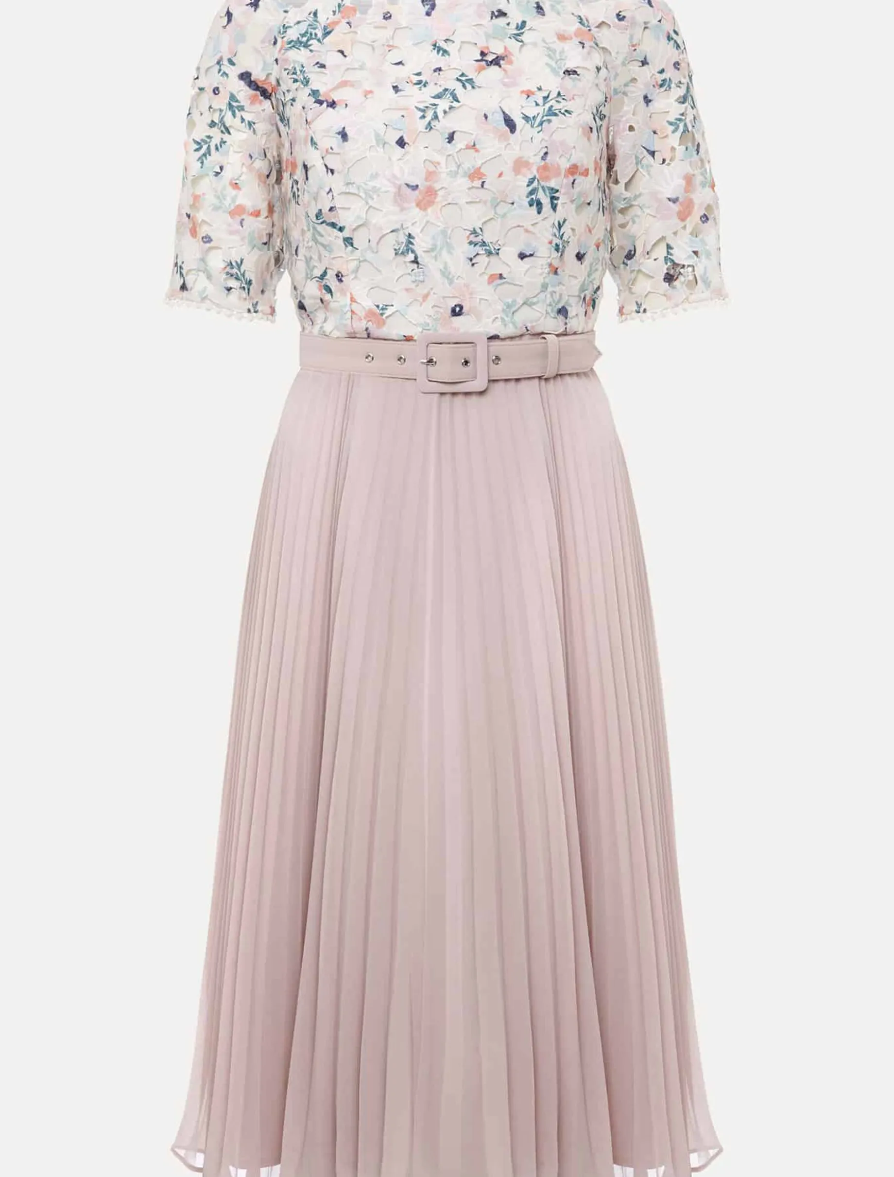 Petite Franky Lace Bardot Dress