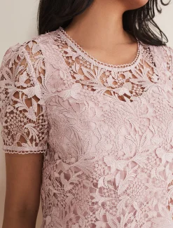 Petite Isabella Lace Midi Dress