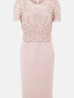 Petite Isabella Lace Midi Dress