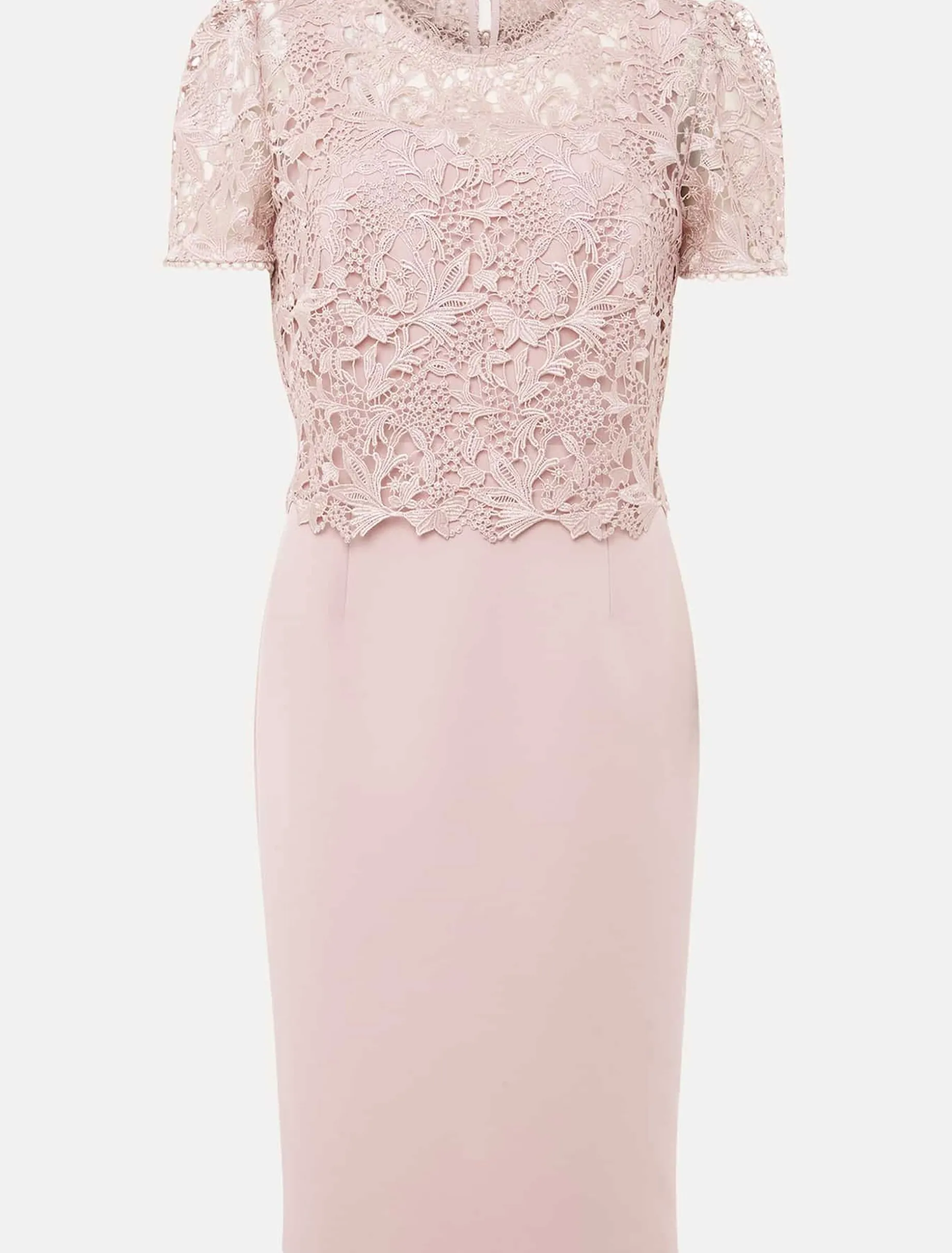 Petite Isabella Lace Midi Dress