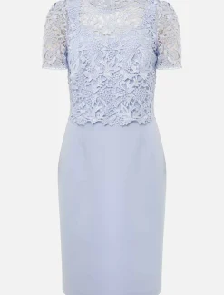 Petite Isabelle Lace Midi Dress