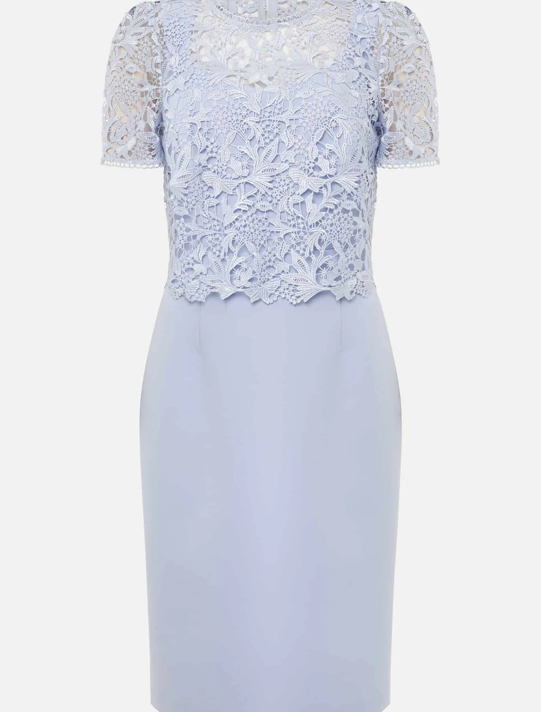 Petite Isabelle Lace Midi Dress