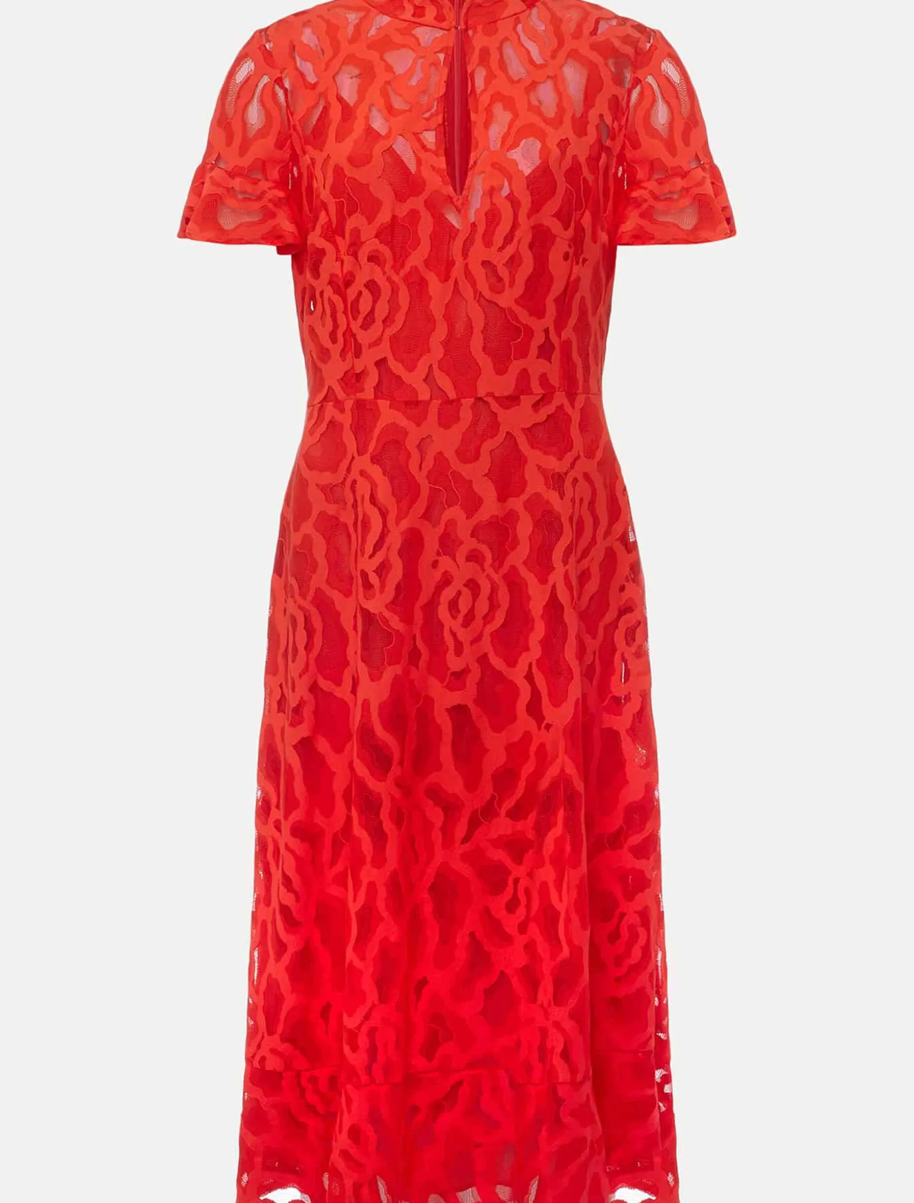 Petite Lulu Lace Midi Dress