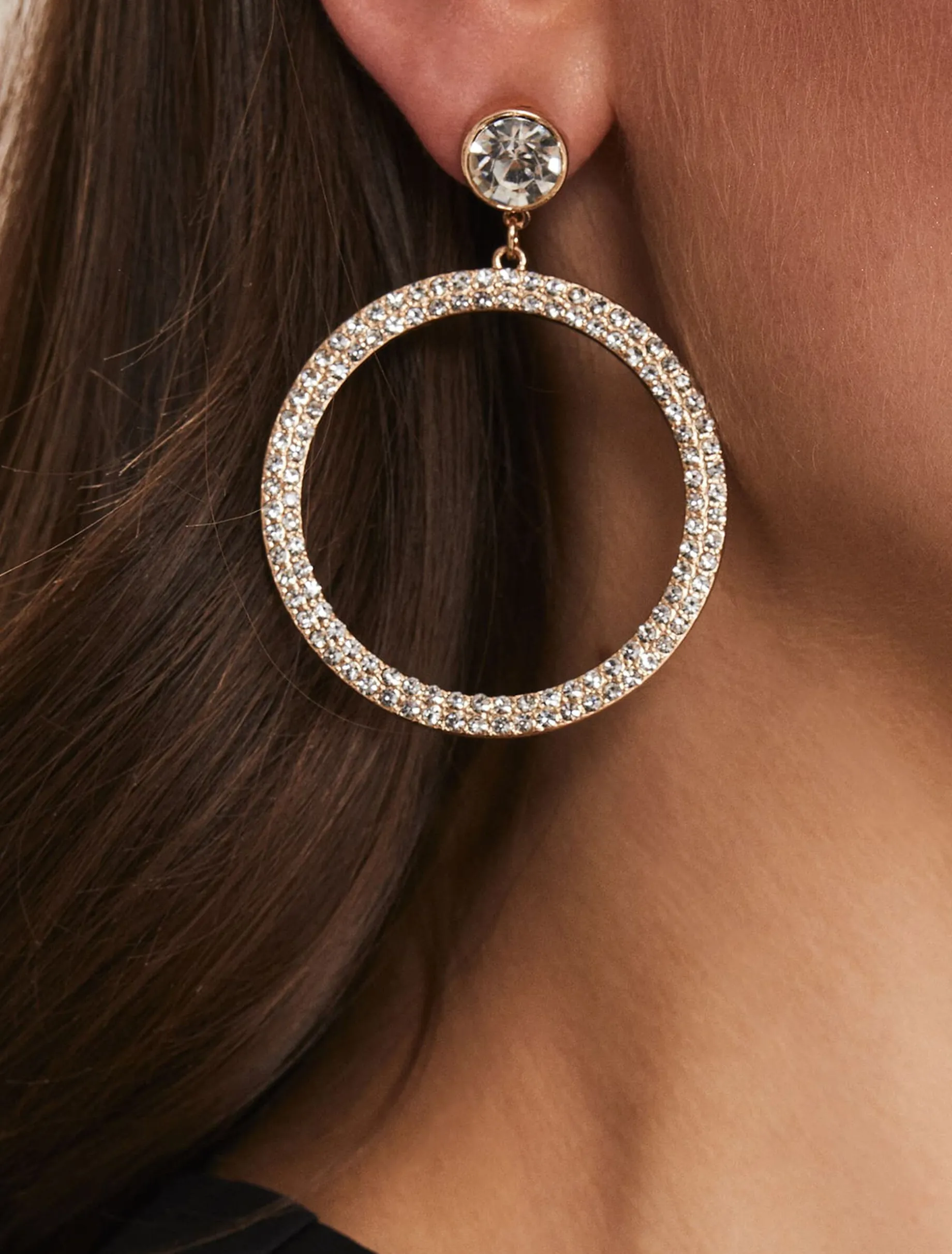 Stone Circle Drop Earring